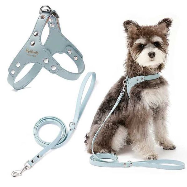 Premium Leather Dog Harness and Leash Set with Reinforced Rivets for Small Dogs - Durable Pet Harness Vest Dog Leash M251202