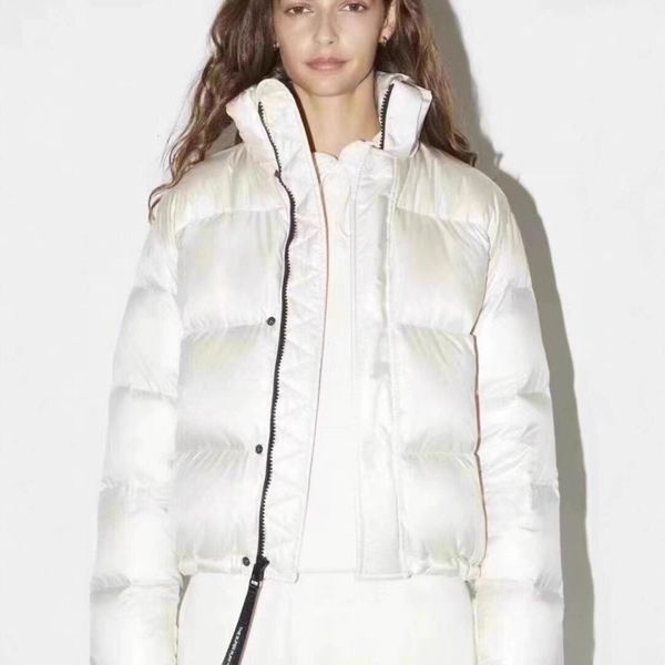 Aritzia Goose Down …