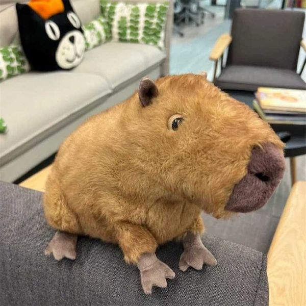 Jellys Cat Capybara Plush Toy Comfort Internet Celebrity Gift British Cute Doll online