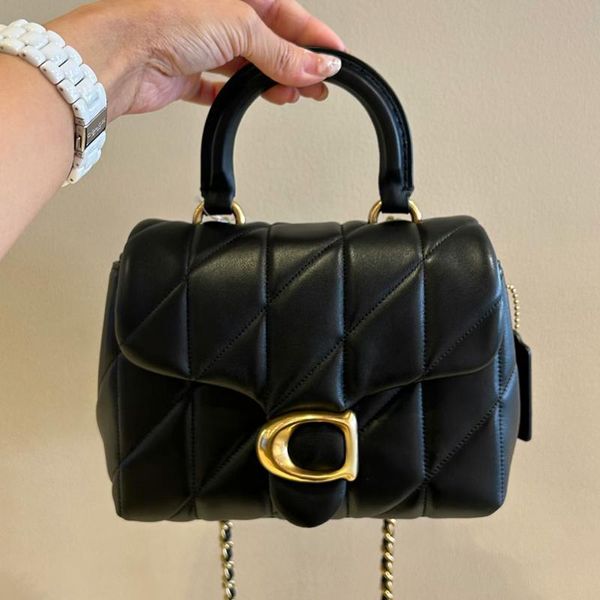 Fashion Tabby Desig…