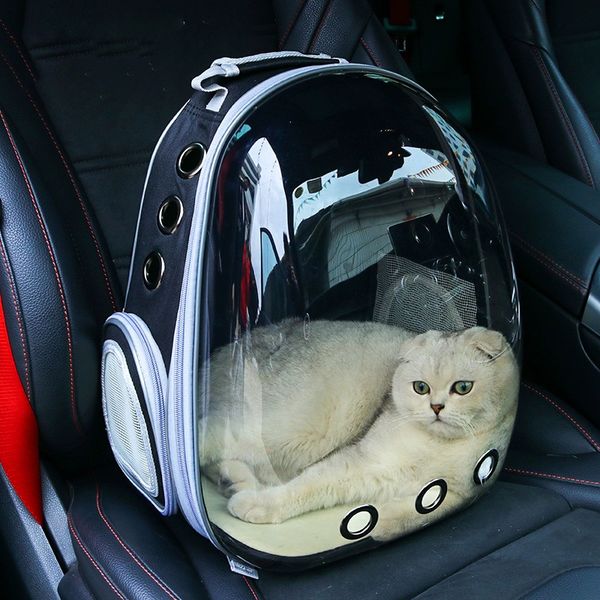 Beni Pet Breathable Transparent Shell Cat Backpack - Portable Double Shoulder Pet Carrier, Green 
Beni Pet Breathable Transparent Shell Cat Backpack - Portable Double Shoulder Pet Carrier, Green