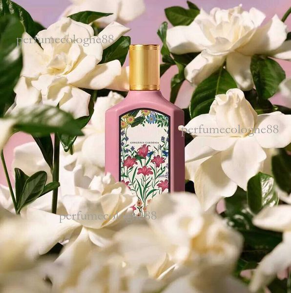 perfume Elegant BLOSSOM For Women Cologne 100ml Absolu ERBA PURA Sexy Jasmine Fragrance Perfumes Spray EDP Parfums gift set floral Essence Wedding Perfume
perfume Elegant BLOSSOM For Women Cologne 100ml Absolu ERBA PURA Sexy Jasmine Fragrance Perfumes Spray EDP Parfums gift set floral Essence Wedding Perfume