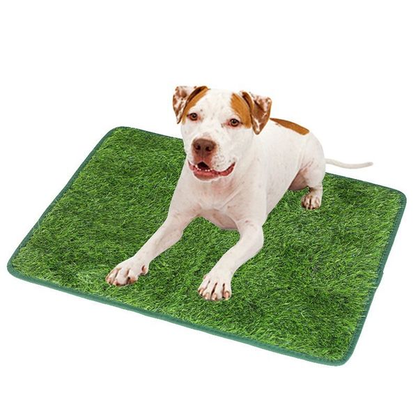 Dog Pee Pads Green Lawn Urine Mat Multifunctional Cat Pet Toilet Artificial Turf Urination Diapers
Dog Pee Pads Green Lawn Urine Mat Multifunctional Cat Pet Toilet Artificial Turf Urination Diapers