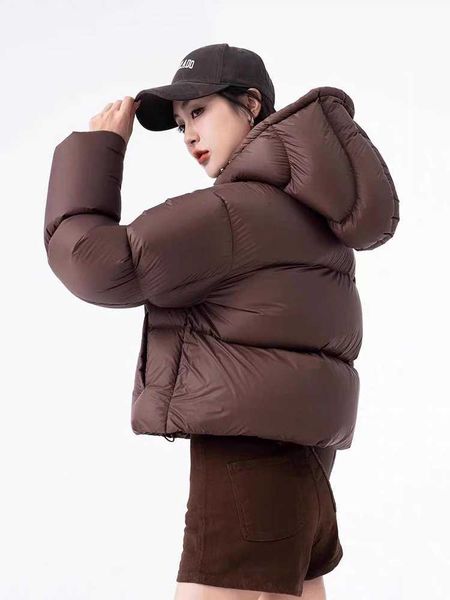 Winter Puff Hooded Short Down Jacket Female Zipper Warm Qui…