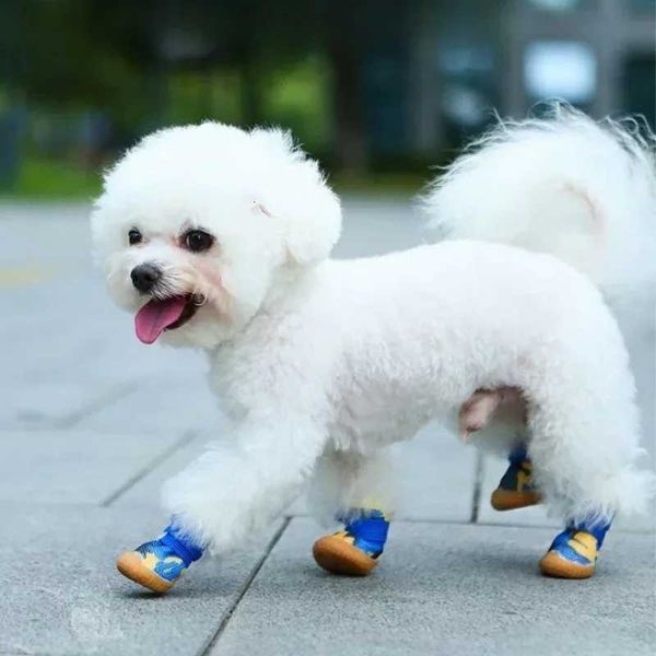 Summer Breathable Dog Kitten Shoes-Anti-Slip Small Puppy Booties Paw Protector …