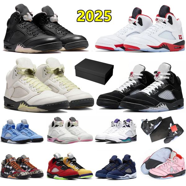 With Box Designer 5…