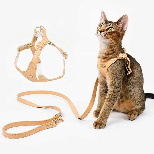 Luxury Leather Cat …