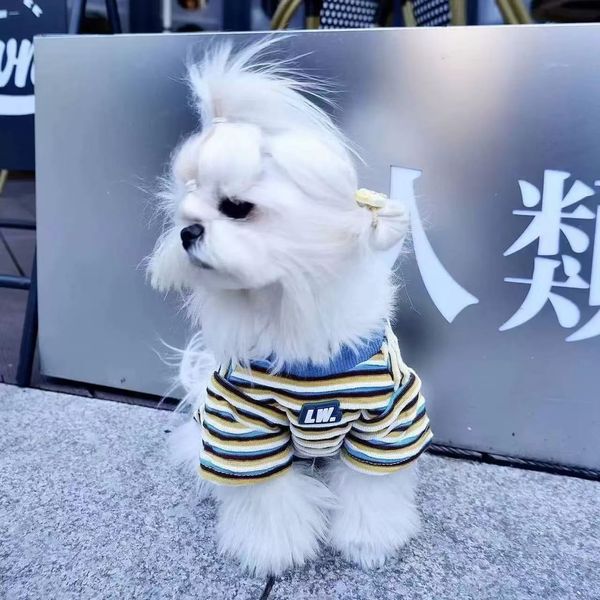 T0091Puppy Yorkshir…