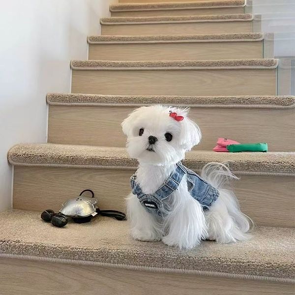 T0081Clothes Autumn…