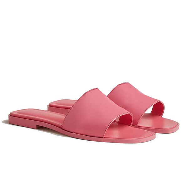 Designer Slides San…