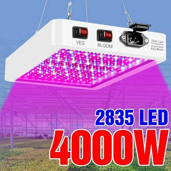 The latest 4000/5000W full spectrum LED growth lamp — compare prices at CompareOffers