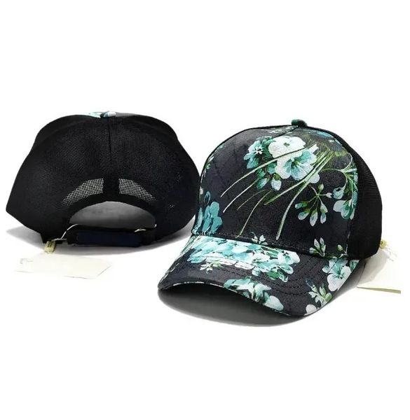 Cap Baseball Cap Ca…