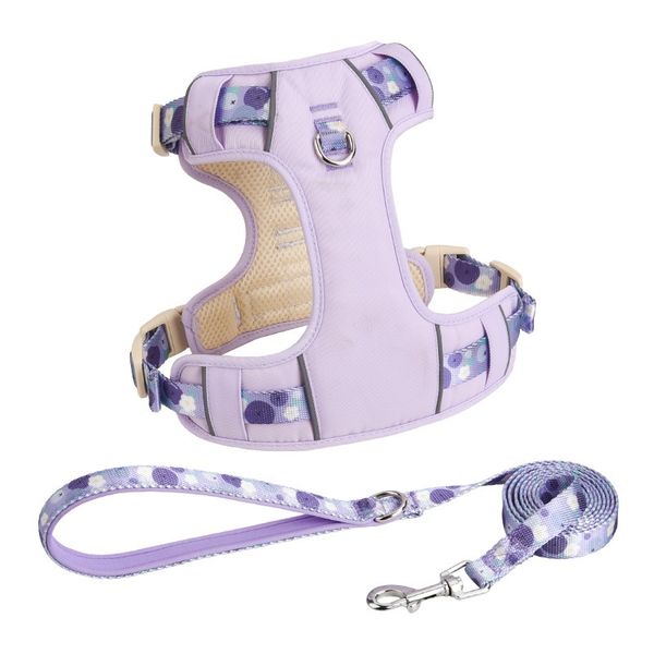 Pet Dog Harness and Leash Set - Breathable Adjustable Reflective Vest with Matching Leash for Small to Medium Dogs - Summer Puppy Chest Strap (Purple/Pink/Green)
Pet Dog Harness and Leash Set - Breathable Adjustable Reflective Vest with Matching Leash for Small to Medium Dogs - Summer Puppy Chest Strap (Purple/Pink/Green)
