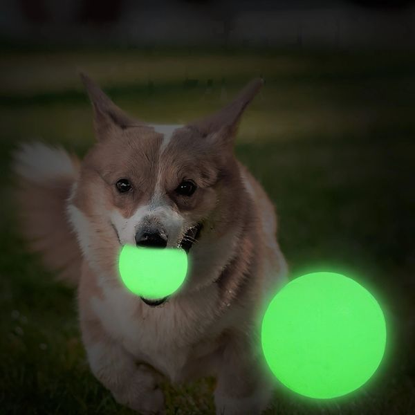 Nighttime Interactive Puppy Game Tool Long-lasting Fluorescent Balls Made from Harmless Plastic, Multi
Nighttime Interactive Puppy Game Tool Long-lasting Fluorescent Balls Made from Harmless Plastic, Multi