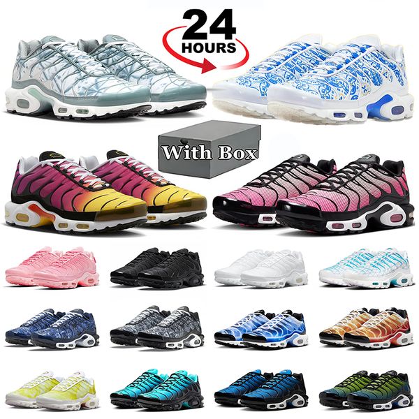 With Box Tnss Tn De…