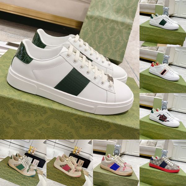 Ace Shoes Designer …