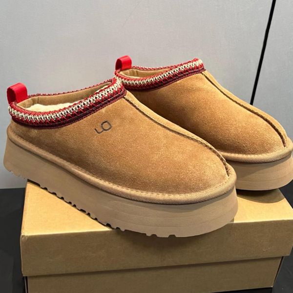 Tazz Tasman Designe…