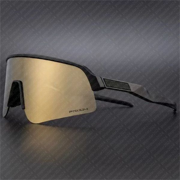 Polarized Sunglasse…