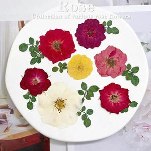 60pcs pressé séché rouge jaune rose rose fleur plantes herbier pour bijoux signet scrapbook téléphone cas bougie abat-jour bricolage 240223