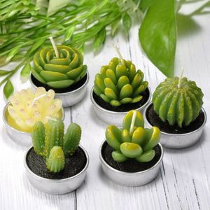 6pcs 12pcs plantes succulentes artificielles bougie de cactus pour la fête d'anniversaire fête de mariage décoration de vacances décor à la maison Y200531