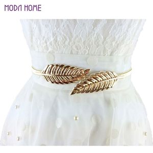 78 cm 70cm Femmes vintage La ceinture de ceinture conception de la ceinture métallique Skinny Elastic Cinturon Ceinture Femme Gold Silver Cummerbund 2745