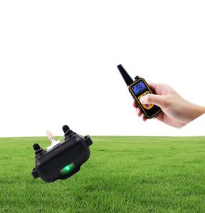 800YD Electric Remote Dog Training Training Collar étanche Affichage LCD rechargeable pour tous les bip Mode de vibration de choc