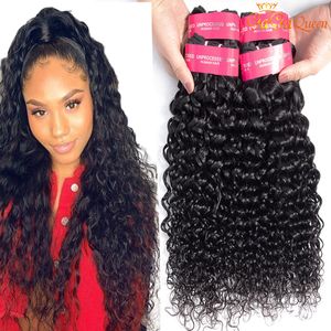 9A Vague D'eau Brésilienne Extension de Cheveux 100% Non Transformés Vierge Bundle de Cheveux Humains 3 pcs/lot Teinture Brésilienne Vague D'eau Vierge Cheveux