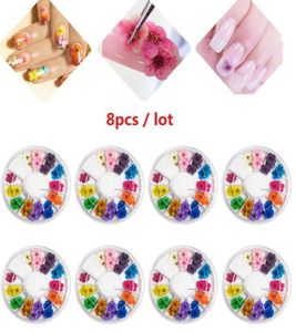 Juego de 8 pegatinas para uñas, rueda de 12 colores, flores secas reales para Gel UV 3D, puntas postizas acrílicas, Nail Art Salon7271689