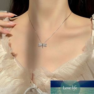 925 Sterling Sterling Brillant Dragonfly Zircon Collier Exquis Animal Shape Clavicule Chaîne Mesdames Légère Luminaire Mode Mode Bijoux Factory Prix Expert Design Qualité