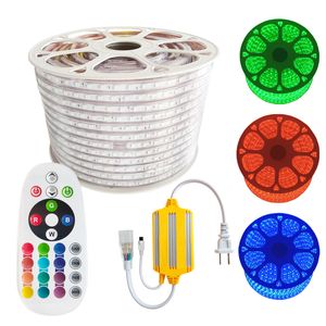 Bande lumineuse LED RGB AC110V, flexible RGB LED Lights Neon Rope IP65 Étanche Neon Flex Cuttable Silicone 16 Couleurs changeantes avec télécommande pour fête DIY Usalight