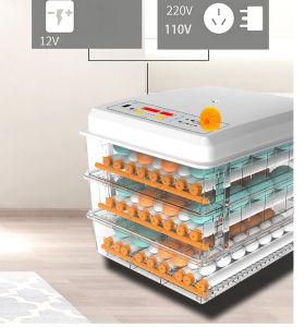 Accesorios Incubadora de 120 huevos Máquina para incubar comercial totalmente automática Granjero Pollo Criadora de ganso Nacedora de aves de corral Turner Control inteligente