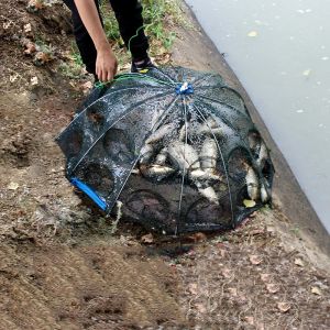 Accesorios Red de pesca automática reforzada con 420 agujeros, jaula para camarones, nailon plegable, forma de paraguas, trampa para peces y cangrejos, red fundida, red plegable