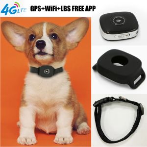 Accessoires 4G PET GPS Tracker Dog Cat GPS GPS Suivi Collier étanche Mini GPS Tracker Amaron ALARME LOCATE