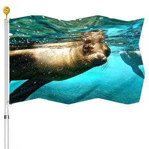 Accesorios Bandera de león marino linda Sello de vida silvestre de agua del océano Banderas de animales con doble costura con ojales de latón Porche interior Decoración de la casa al aire libre