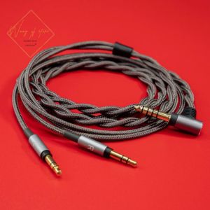 Accessoires Hifi Balanced Audio Upgrade Cable pour Philips Fidelio X3 Onkyo A800 CASE