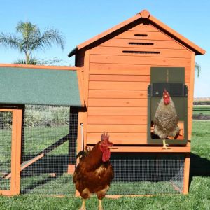 Accessoires de haute qualité automatique poulailler porte capteur de lumière solaire poulailler pratique ferme poulet animaux canard Cage porte ferme décor