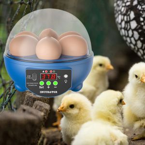 Accessoires Mini incubateur d'oeufs couveuse automatique ferme oiseau caille poulet volaille ferme couveuse avec couveuse de poulet légère USB