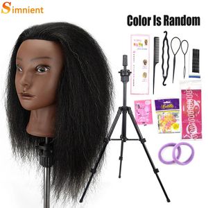 African Mannequin Head 100% réel Hair Haipressser Training Head with Trépied Manikin Cosmétologie Poupée Head for Braiding Style 240403