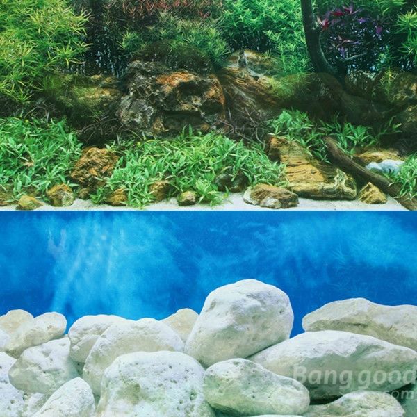Wholesale-eworld Double Sided Aquarium Landscape Poster Fish Tank Background 60*30CM