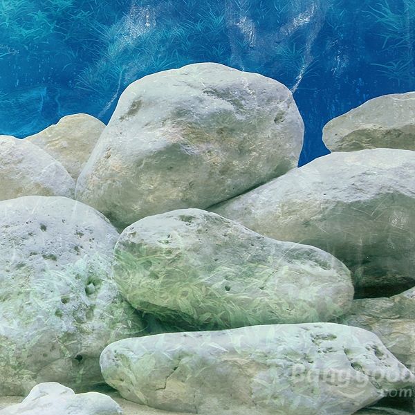 Wholesale-eworld Double Sided Aquarium Landscape Poster Fish Tank Background 60*30CM