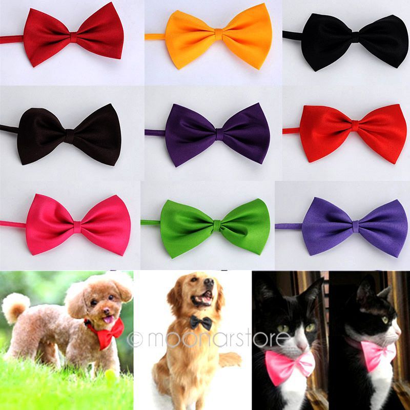 Wholesale-2015 Lovely Hot Selling New Fashion Cute Dog Cat Pet Puppy Toy Kid Cute Bow Tie Necktie Collar Clothes ZS*MPJ141#C9
Wholesale-2015 Lovely Hot Selling New Fashion Cute Dog Cat Pet Puppy Toy Kid Cute Bow Tie Necktie Collar Clothes ZS*MPJ141#C9