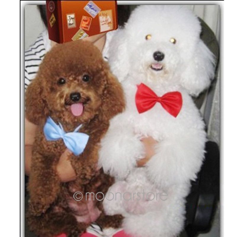 Wholesale-2015 Lovely Hot Selling New Fashion Cute Dog Cat Pet Puppy Toy Kid Cute Bow Tie Necktie Collar Clothes ZS*MPJ141#C9