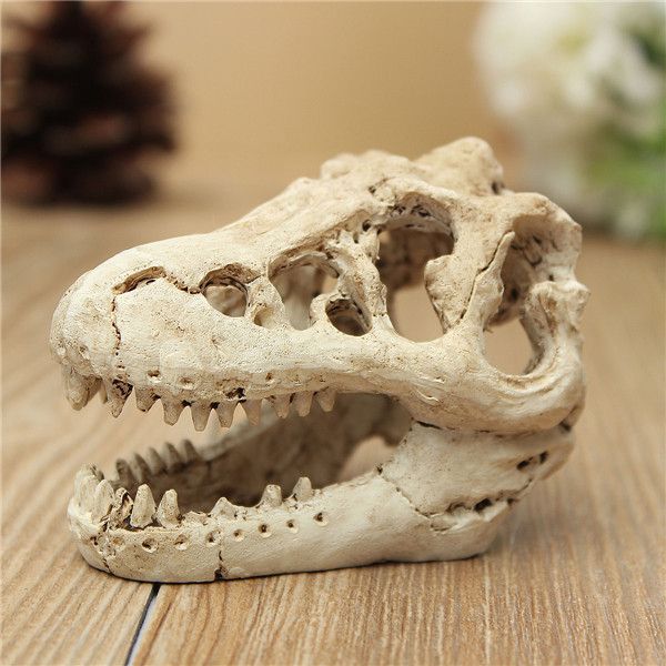 Wholesale-Aquarium Terrarium Decoration Crocodile Skull for Fish Tank Resin Ornament Intravital skull lizard scorpion box
Wholesale-Aquarium Terrarium Decoration Crocodile Skull for Fish Tank Resin Ornament Intravital skull lizard scorpion box