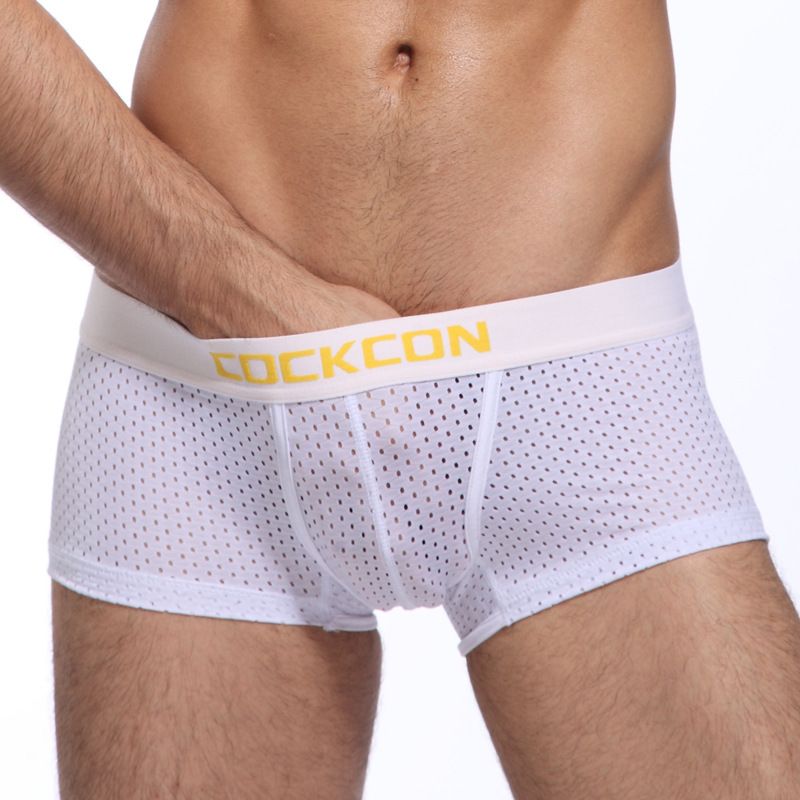 Wholesale-Plaid Boxers Sexy Men Transparent Men Underwear Cueca Men's Shorts Cockcon Transparent Sexy Body Men Silk Boxer Shorts