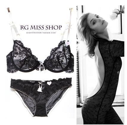 Wholesale-New hot Ultra thin Embroidery women bra set lace underwear sets,sexy transparent floral brassiere bra and panty set BS150