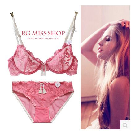 Wholesale-New hot Ultra thin Embroidery women bra set lace underwear sets,sexy transparent floral brassiere bra and panty set BS150