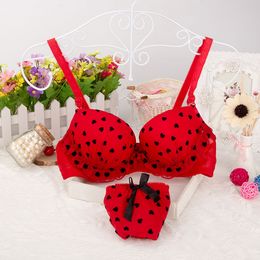 Discount Wholesale Intimated Clothing | 2016 W