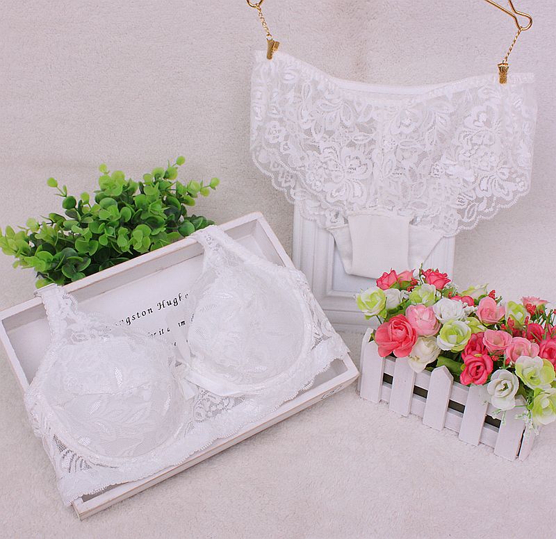 Wholesale-Free Shipping,French Romantic Embroidered Lace VS Bra Sets Sexy Women Underwear Set Push B C Up Bra Set- Bra Panty Set