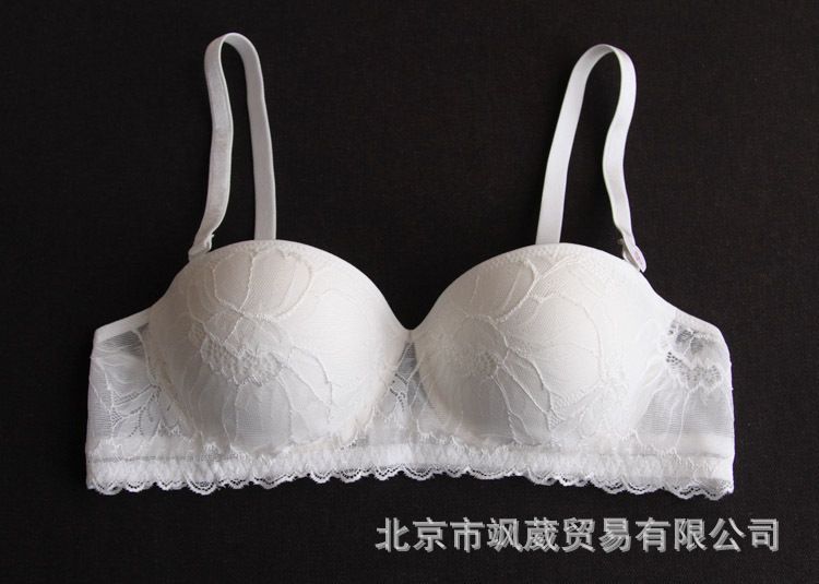 Wholesale-New arrival Cocktail dress sexy lacebra brief set super sex bride summer bra set large size woman underware SW1022