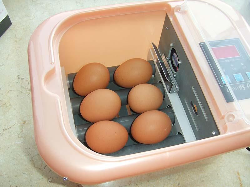 Egg Incubators Hatch for Chicken Duck Parrot Chicken Incubator